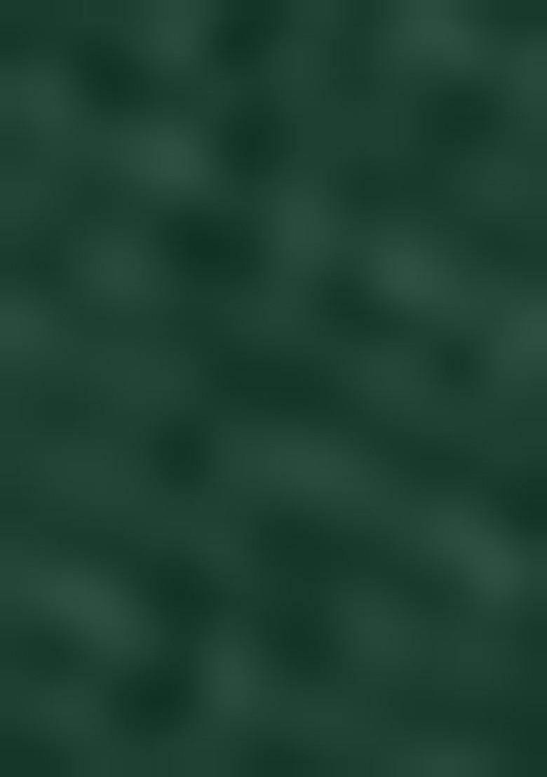 Dark Green Embroidered Heavy Net Lehenga Set