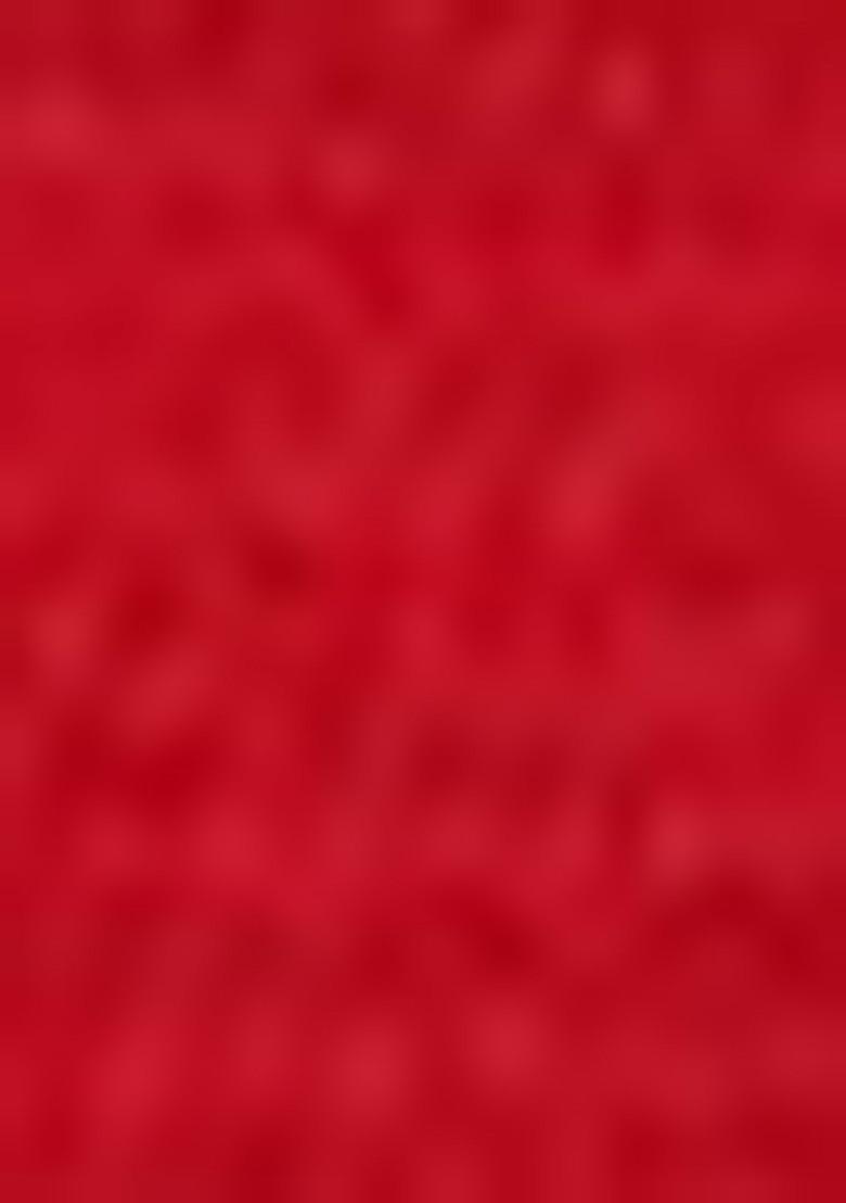 Dark Red Embroidered Net Lehenga Set