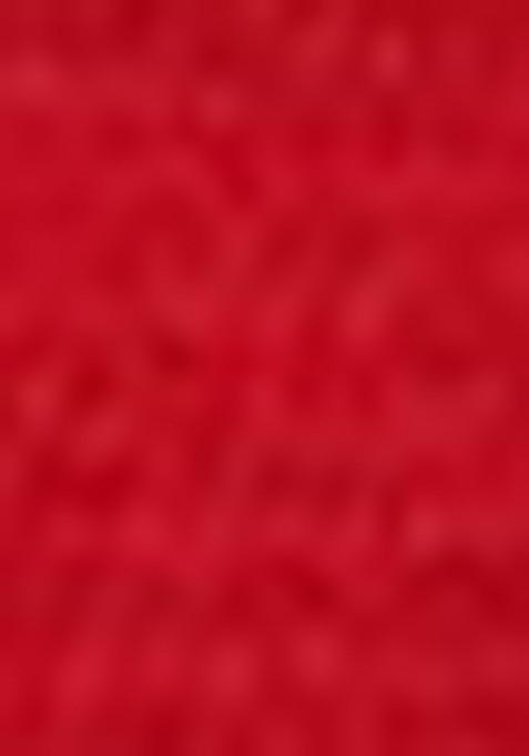 Dark Red Embroidered Net Lehenga Set