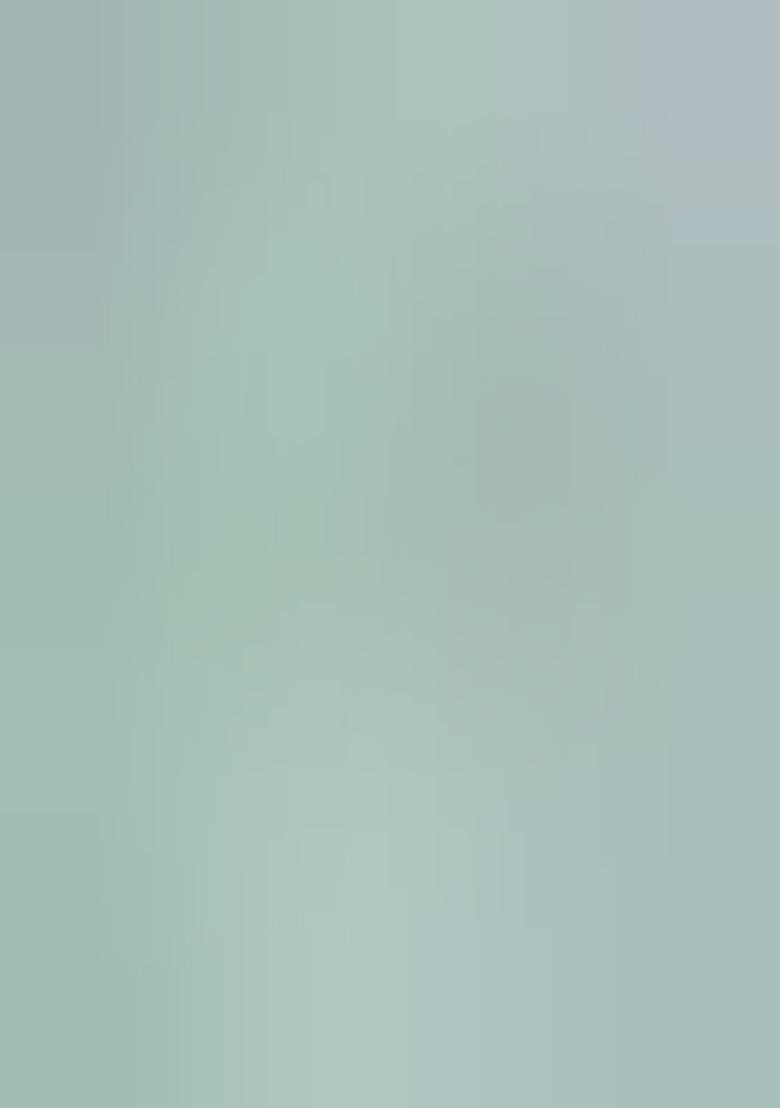 Light Green Embroidered Silk Lehenga Set