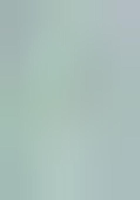 Light Green Embroidered Silk Lehenga Set