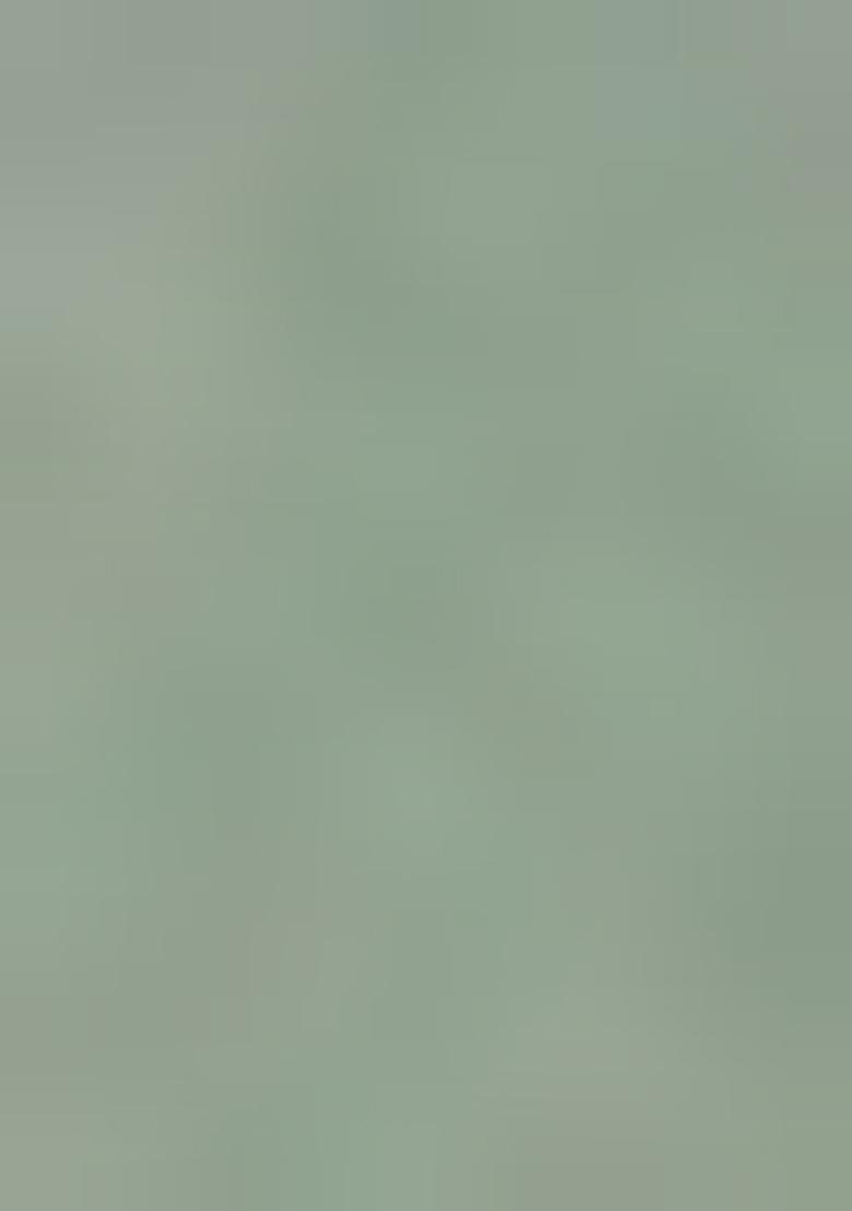 Sea Green Embroidered Georgette Lehenga Set