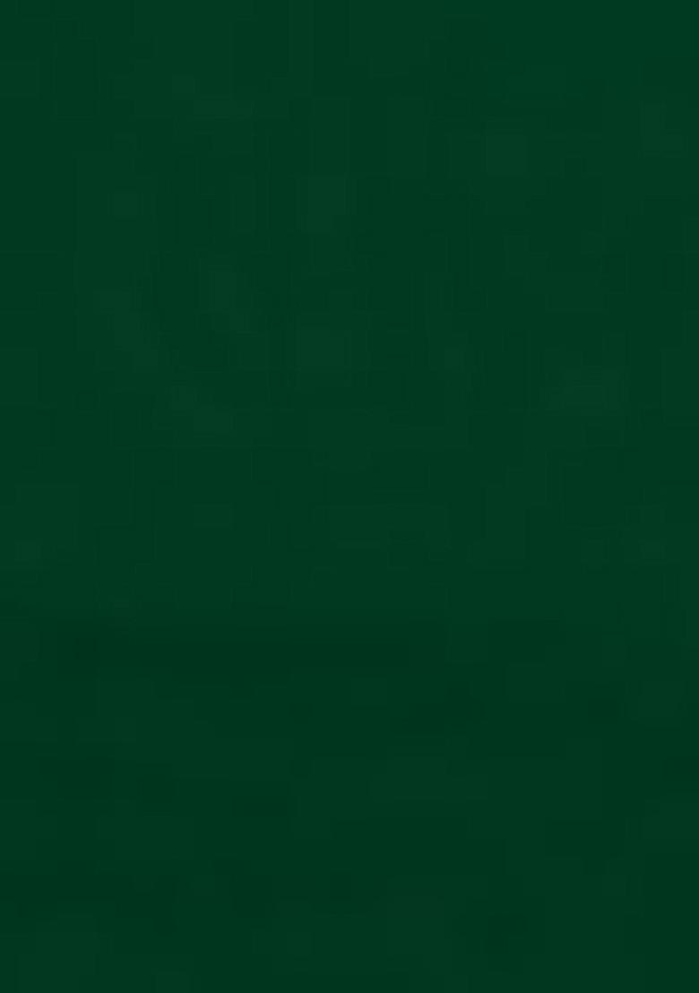 Green Embroidered Georgette Lehenga Set