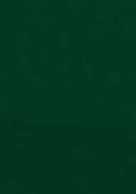 Green Embroidered Georgette Lehenga Set