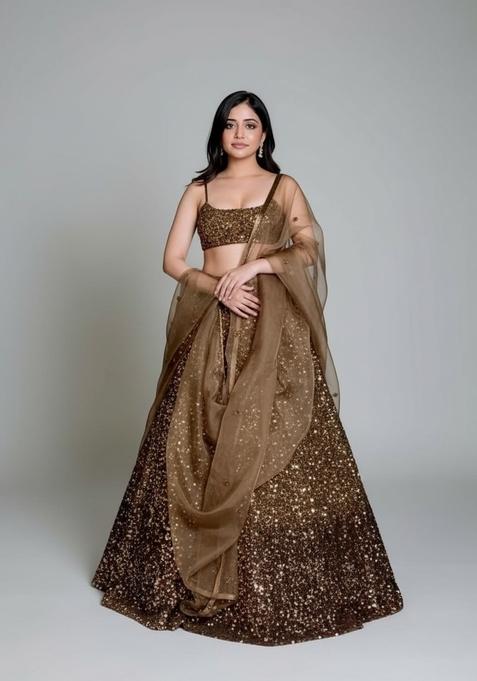 Multi Color Embroidered Silk Lehenga Set