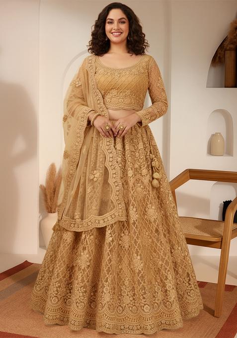 Golden Embroidered Net Lehenga set