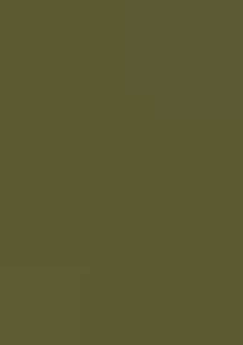 Olive Green Embroidery Georgette Lehenga Set - Indya