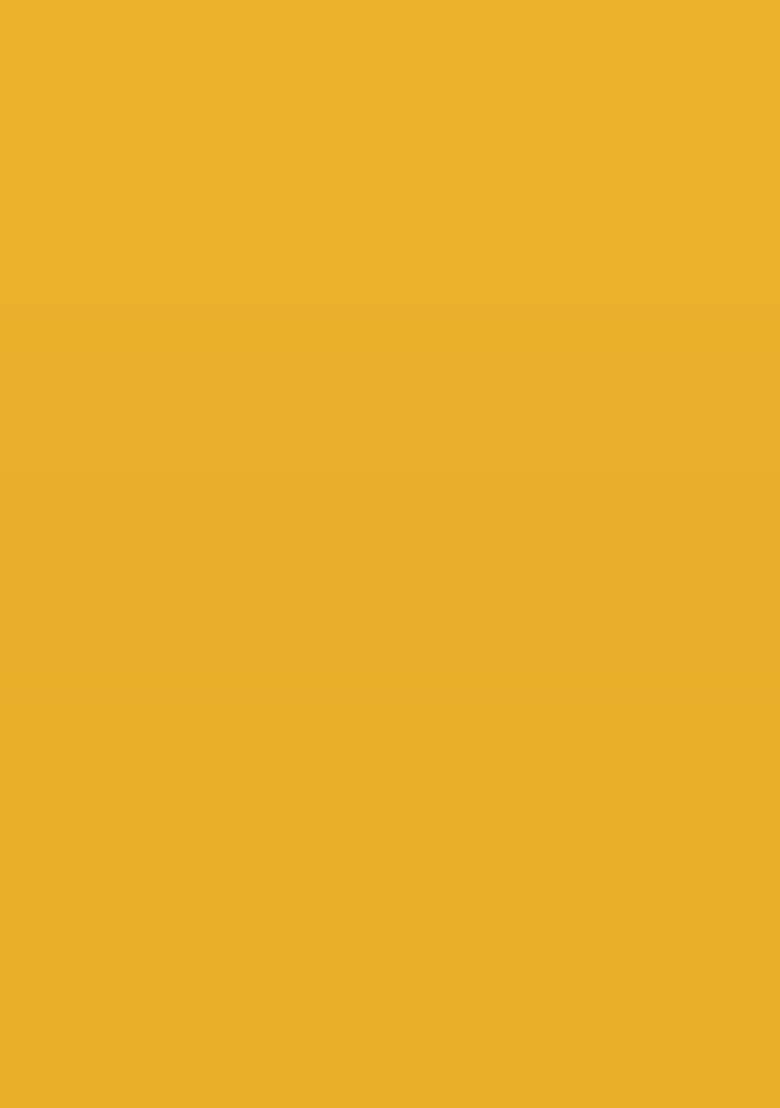 Yellow Embroidered Georgette Lehenga set - Indya