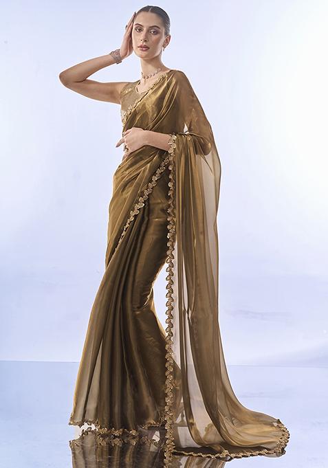 Metallic Brown Sequin Embellished Organza Saree