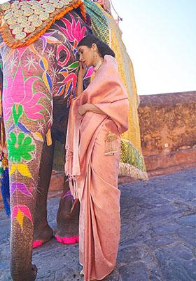 Peach Zari Woven Silk Saree Set