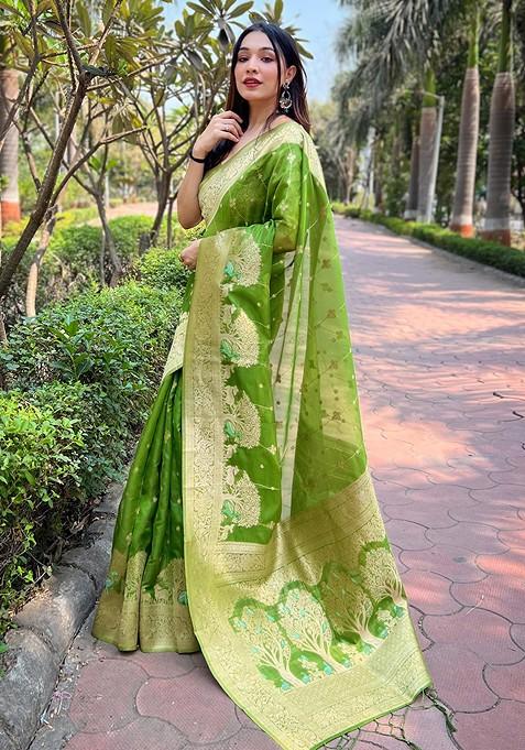 Green Zari Embroidered Organza Saree Set