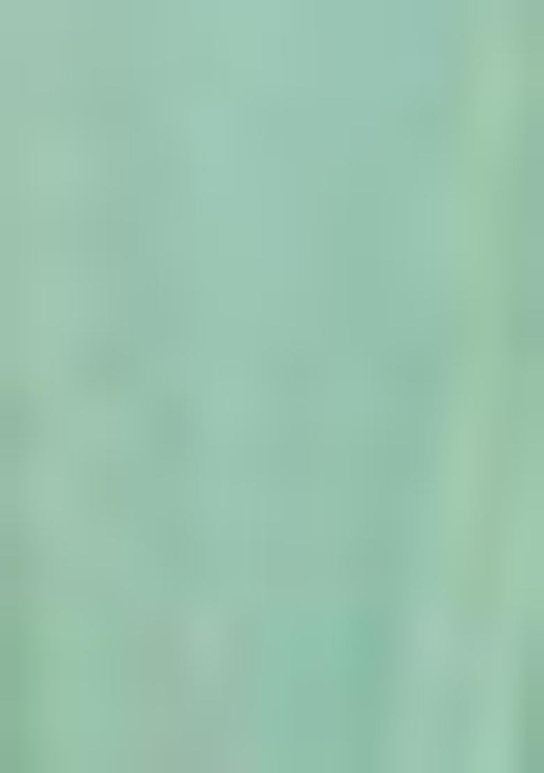 Green Woven Crepe Saree Set