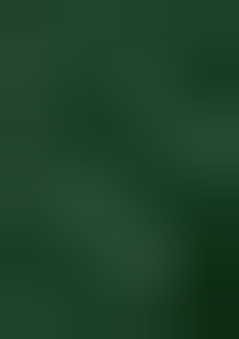 Green Leheriya Print Georgette Saree Set