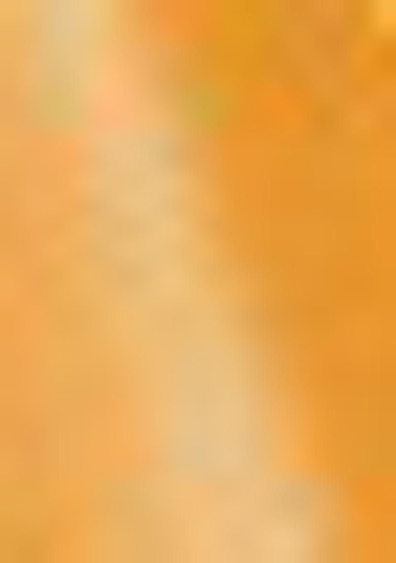 Yellow Leheriya Print Georgette Saree Set