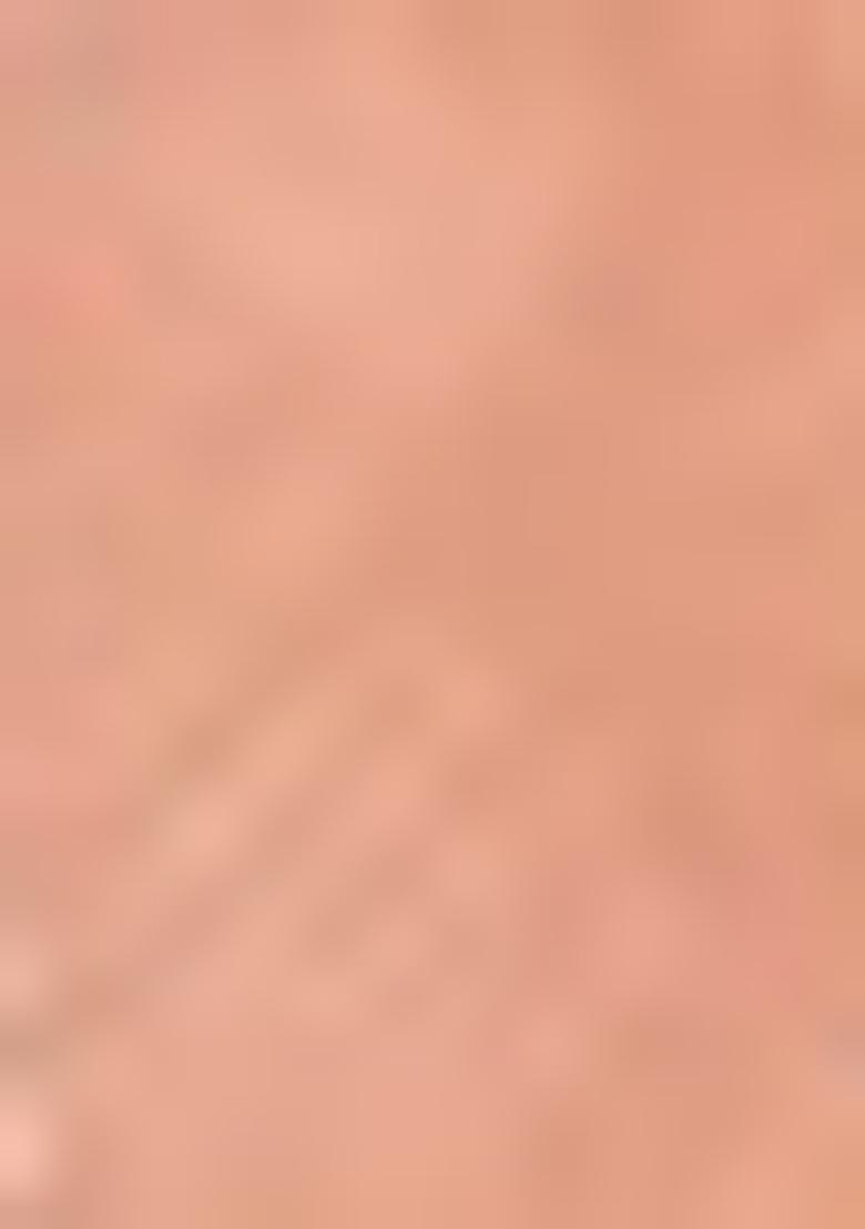 Peach Woven Cotton Saree Set