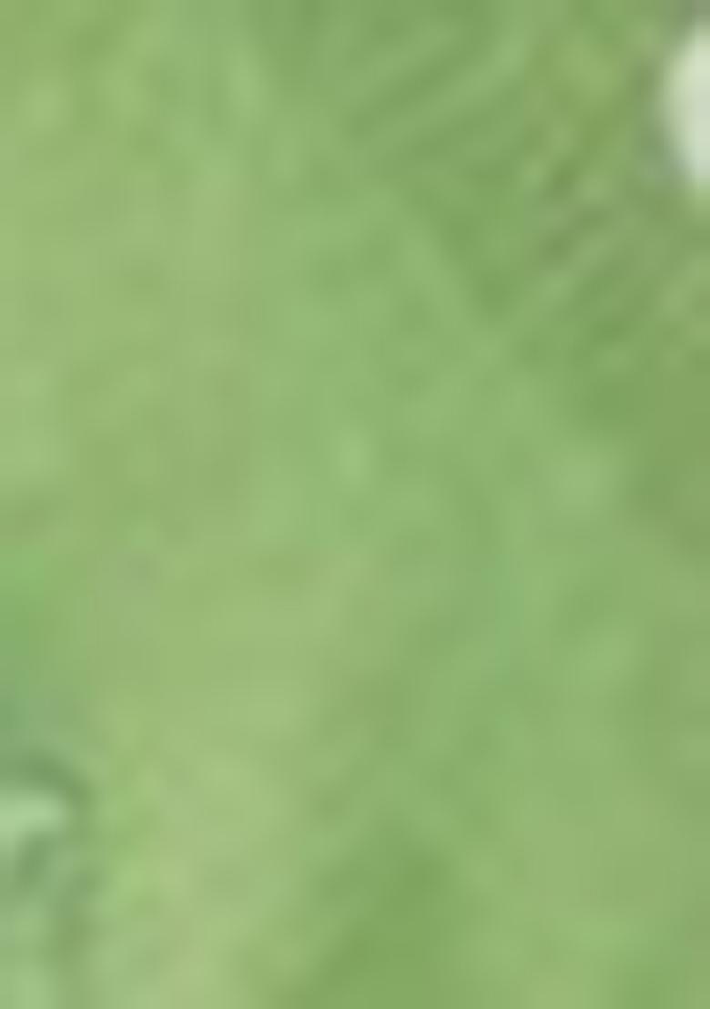 Pista Green Woven Cotton Saree Set