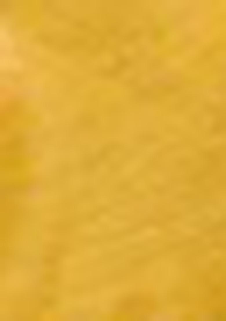 Yellow Woven Cotton Saree Set