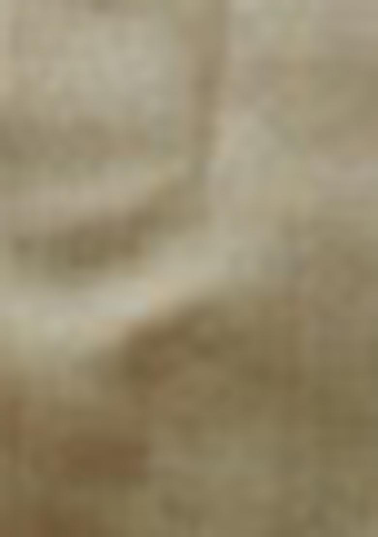 Chiku Brown Woven Banarasi Silk Saree Set