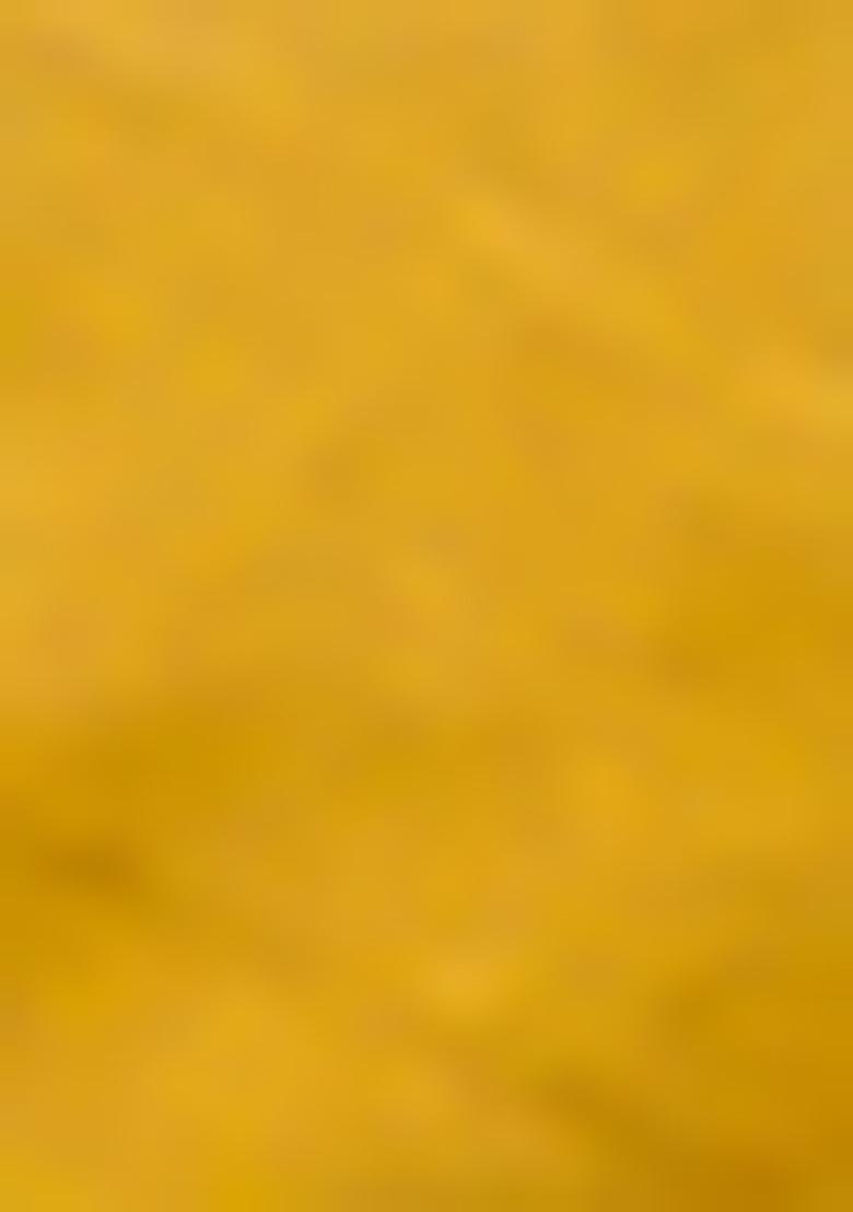 Yellow Zari Woven Tissue Silk Saree Set