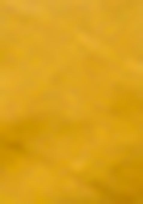 Yellow Zari Woven Tissue Silk Saree Set