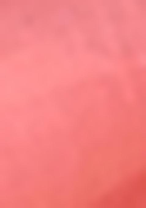 Rust Zari Woven Tissue Silk Saree Set