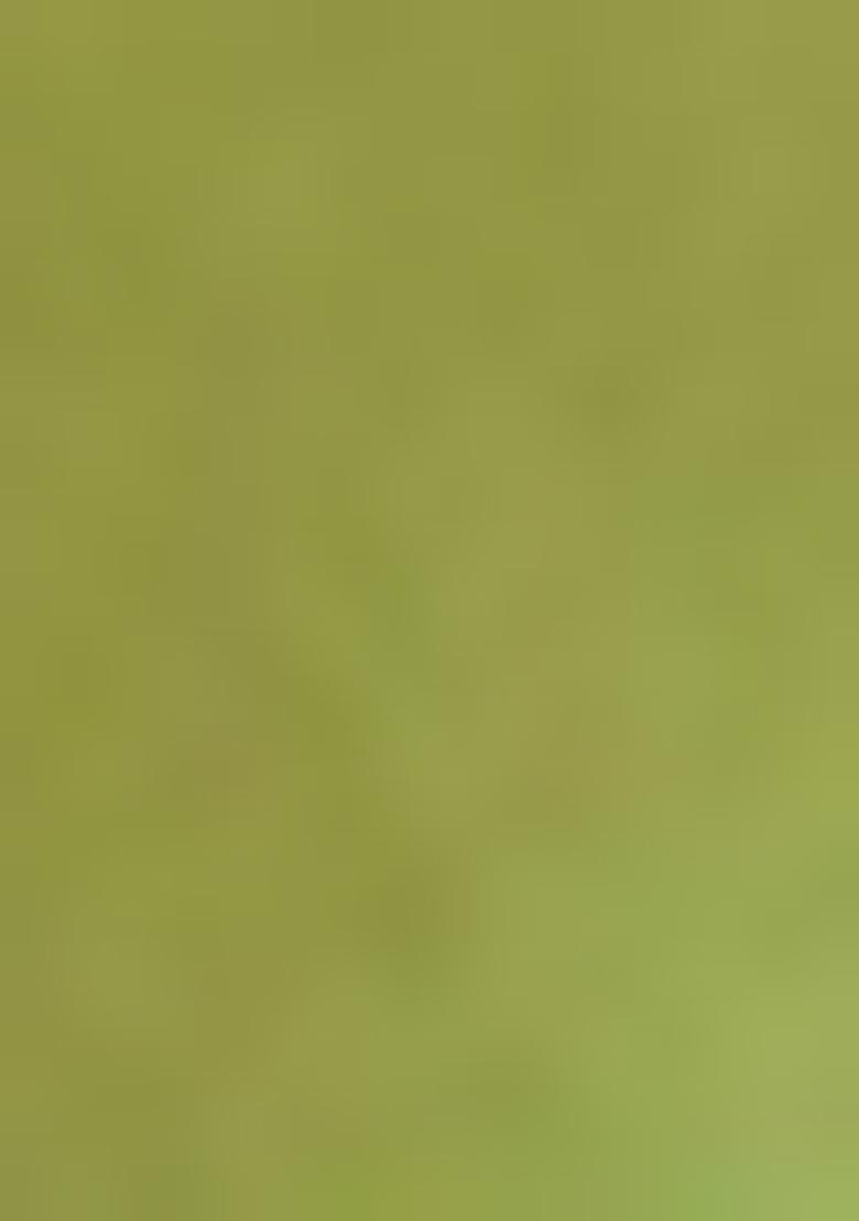 Green Zari Woven Tissue Silk Saree Set