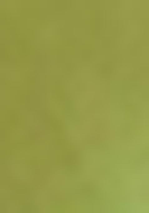 Green Zari Woven Tissue Silk Saree Set