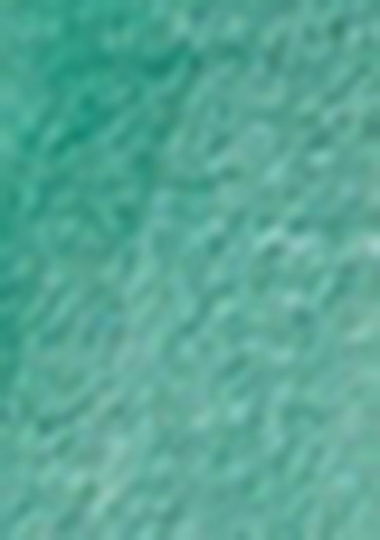 Sea Green Zari Woven Khadi Organza Saree Set