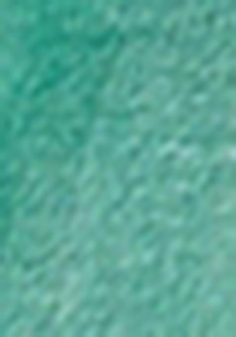 Sea Green Zari Woven Khadi Organza Saree Set