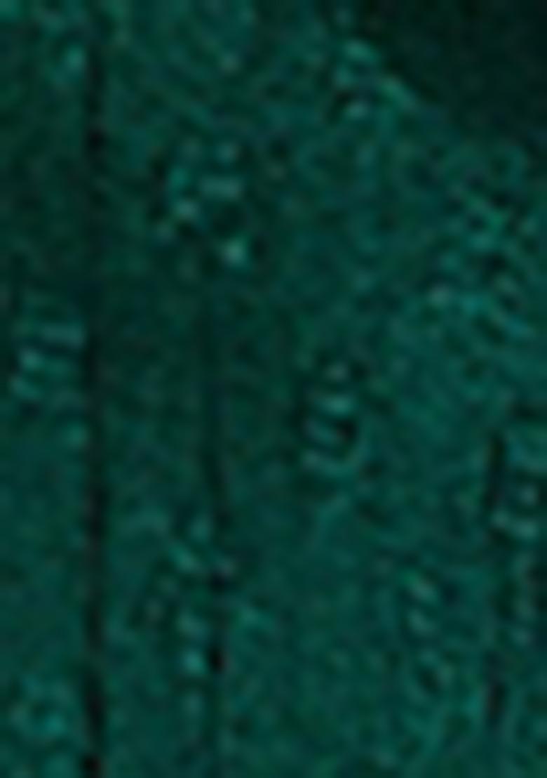 Green Zari Woven Khadi Organza Saree Set