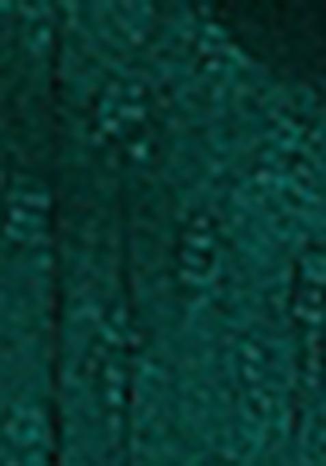 Green Zari Woven Khadi Organza Saree Set