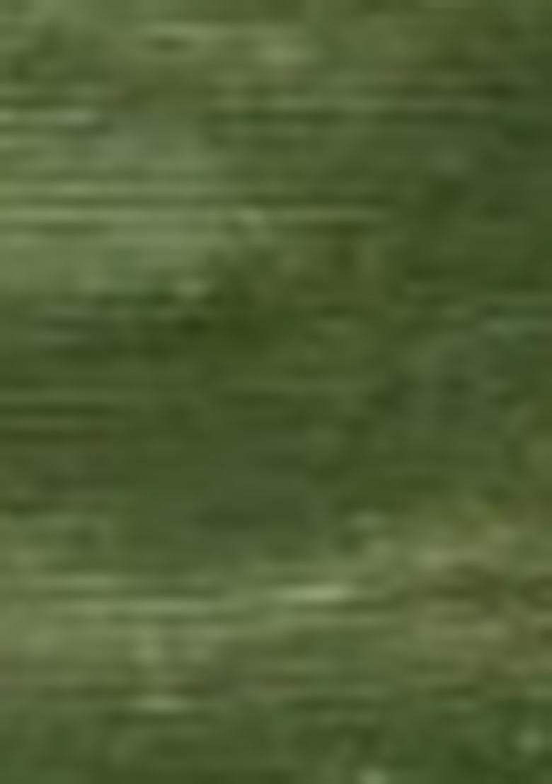 Green Zari Woven Simmer Silk Saree Set