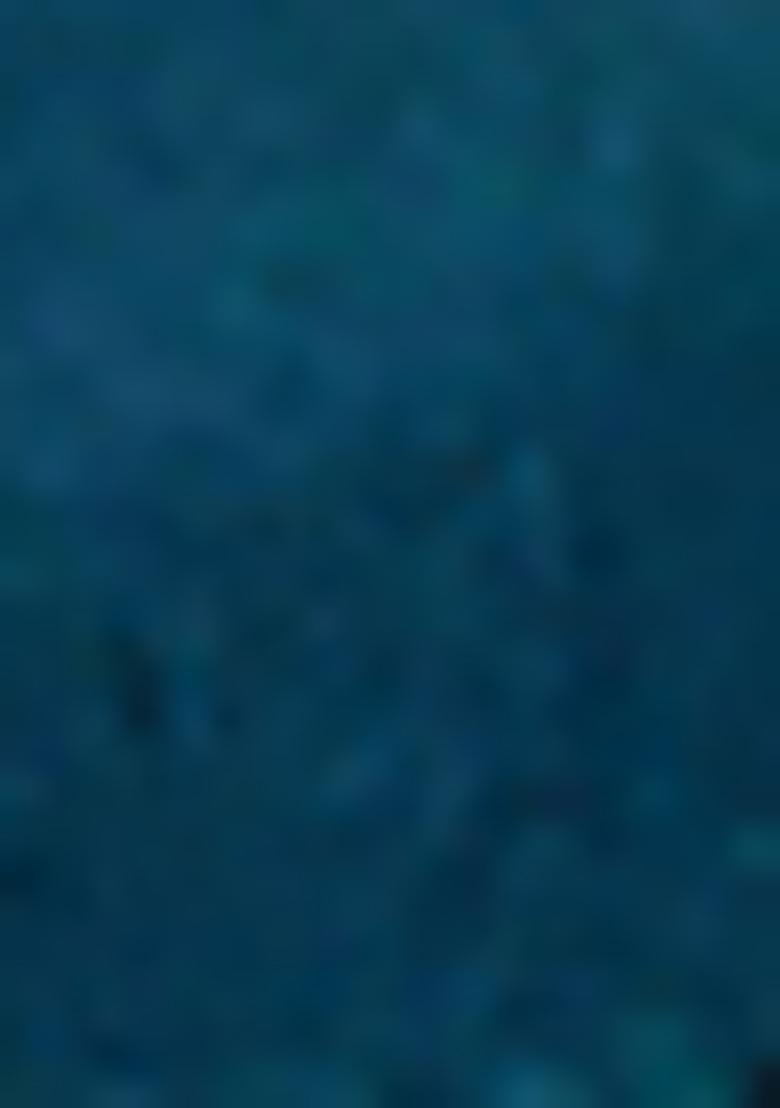 Teal Zari Woven Staple Cotton Saree Set