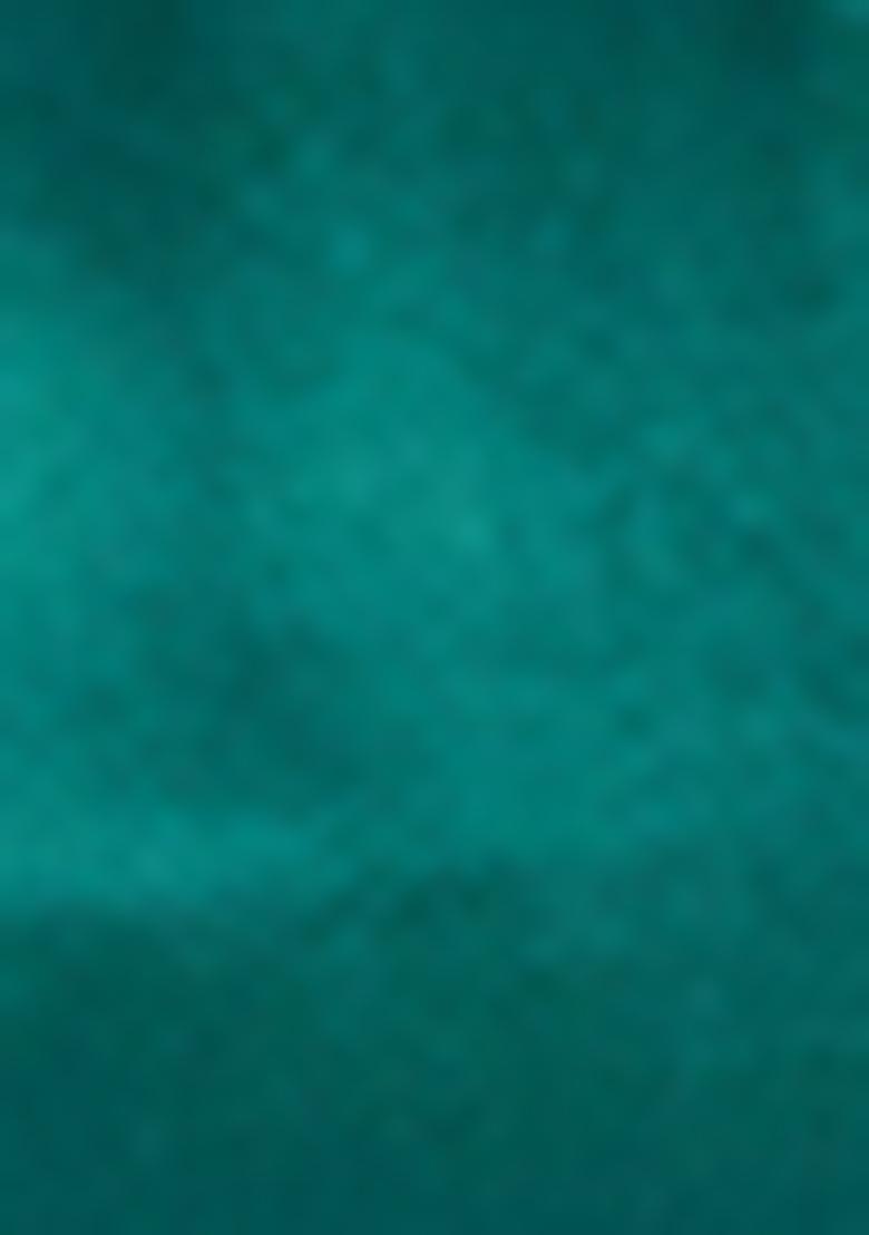 Green Embroidered Organza Saree Set