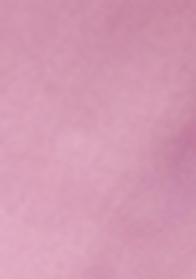 Lavender Embroidered Organza Saree Set