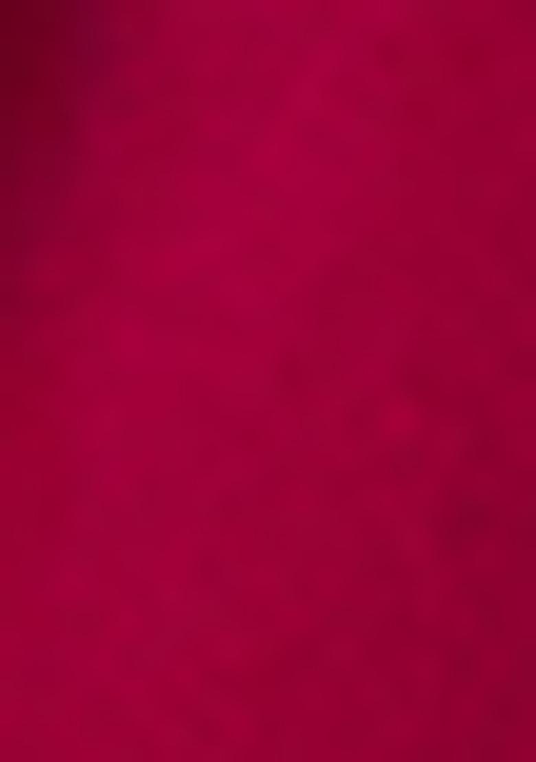 Purple Embroidered Organza Saree Set