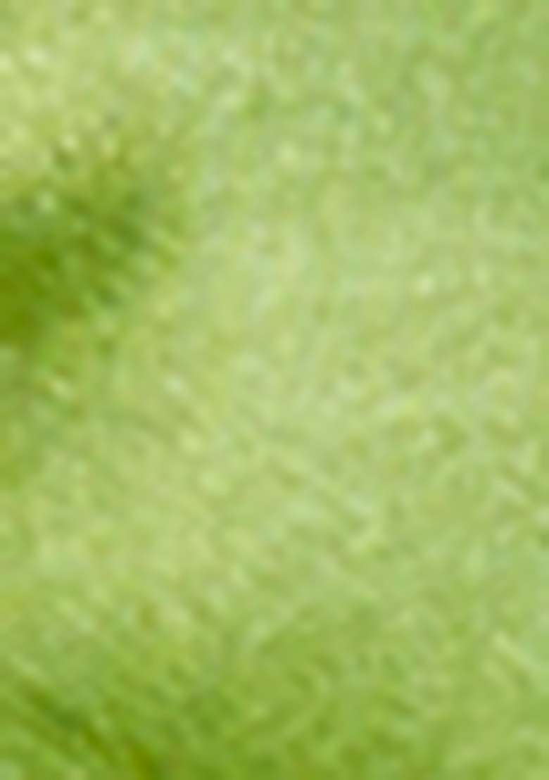 Green Woven Jacquard Satin Silk Saree Set - Indya