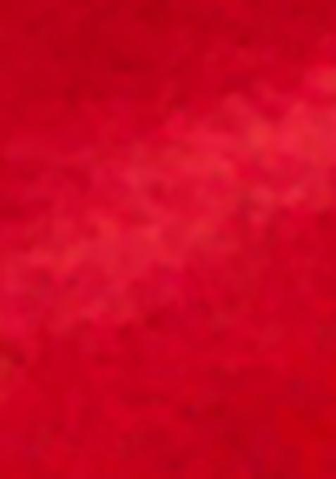 Red Zari Woven Staple Cotton Saree Set