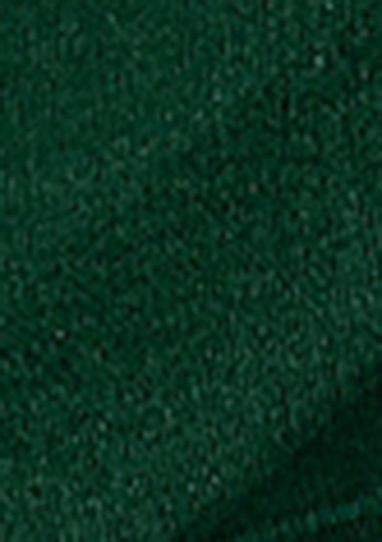 Green Zari Sequin Embroidered Organza Silk Saree Set