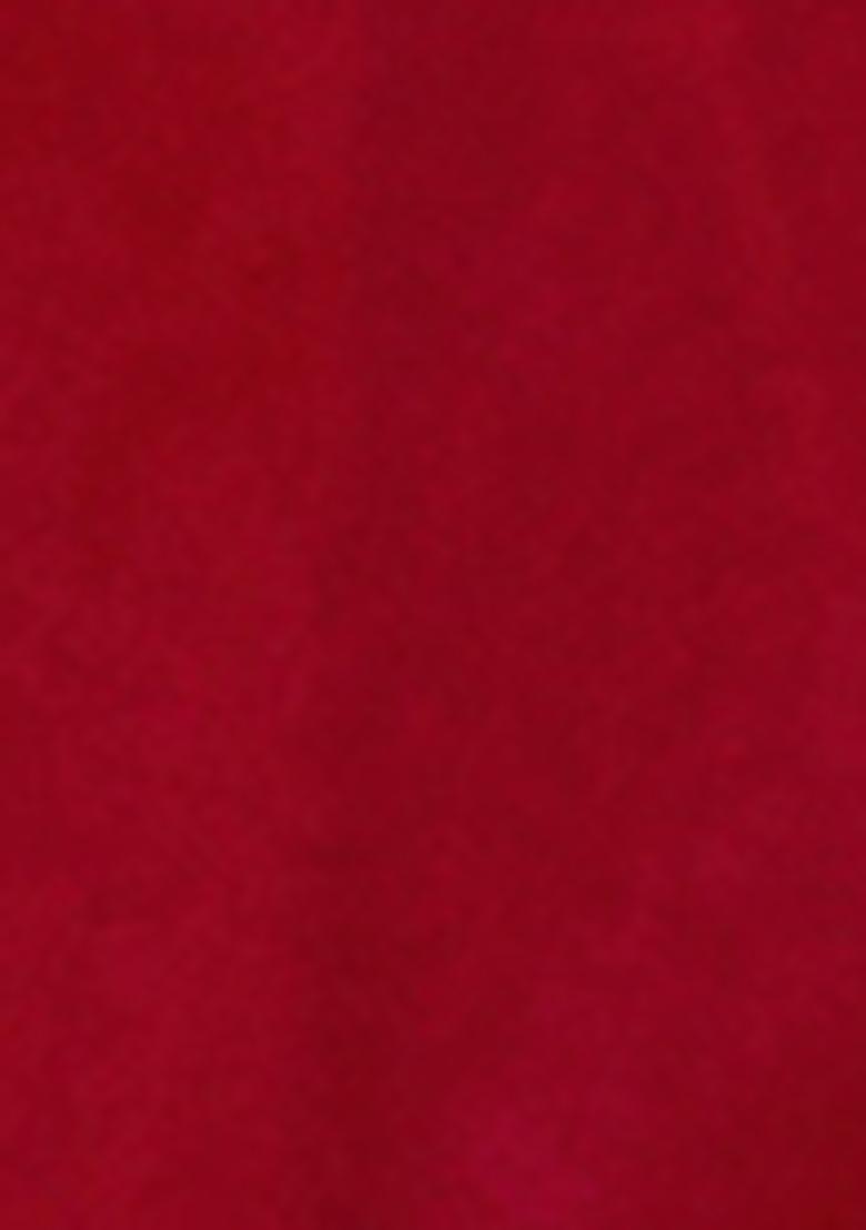 Red Zari Sequin Embroidered Organza Silk Saree Set