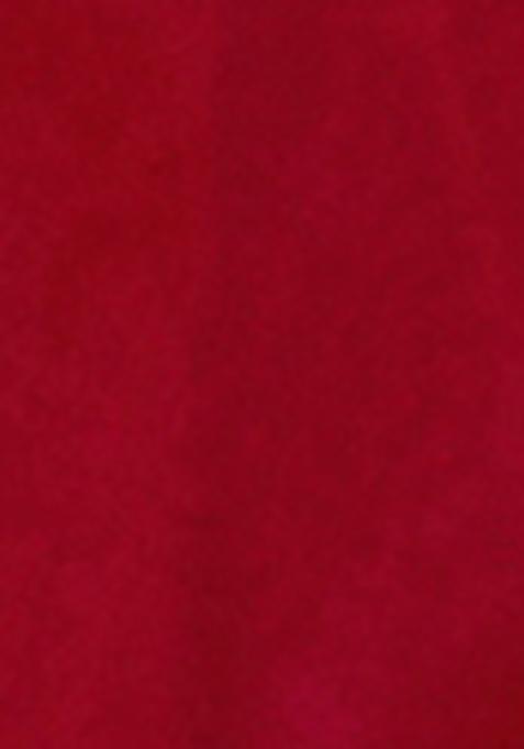 Red Zari Sequin Embroidered Organza Silk Saree Set