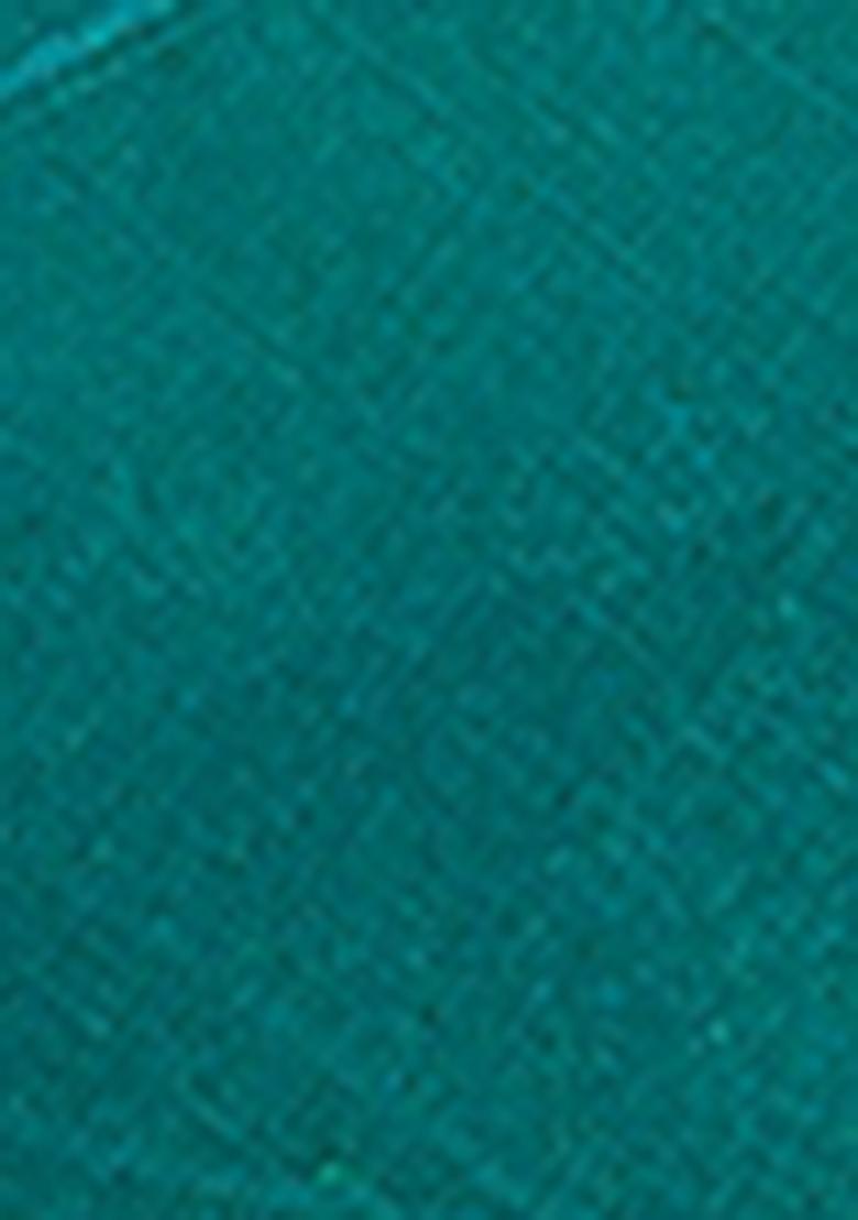 Teal Zari Sequin Embroidered Organza Silk Saree Set