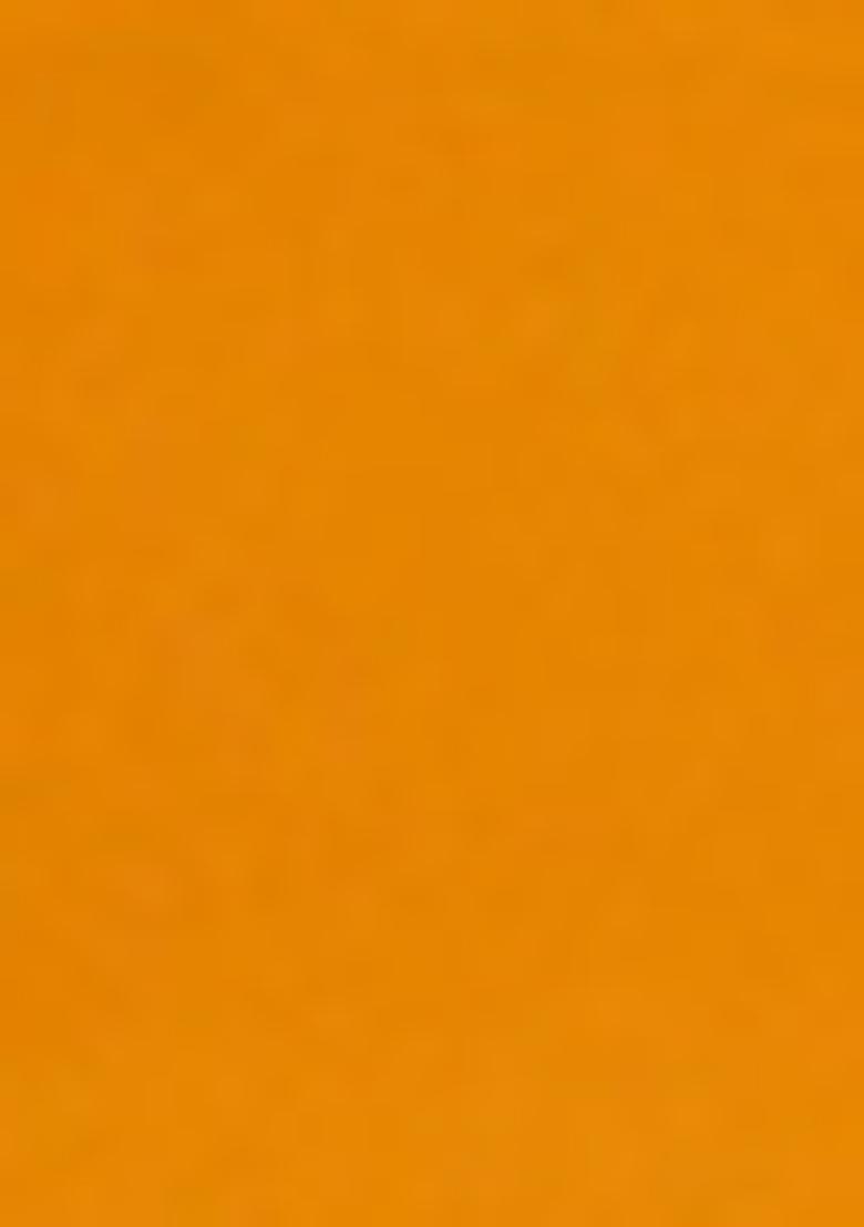 Yellow Zari Sequin Embroidered Organza Silk Saree Set