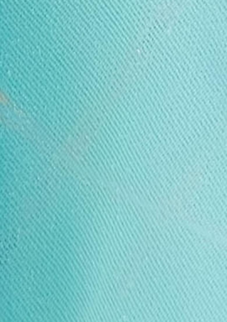 Sky Blue Woven Sequin Embroidered Organza Saree Set