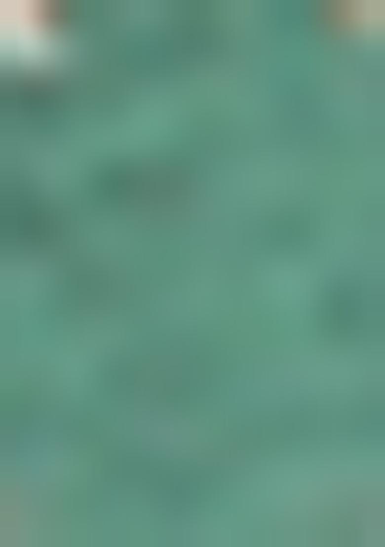 Rama Green Printed Woven Silk Saree Set