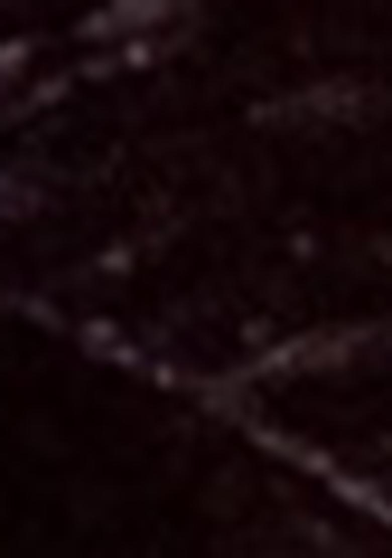 Black Zari Woven Kashmiri Pashmina Saree Set