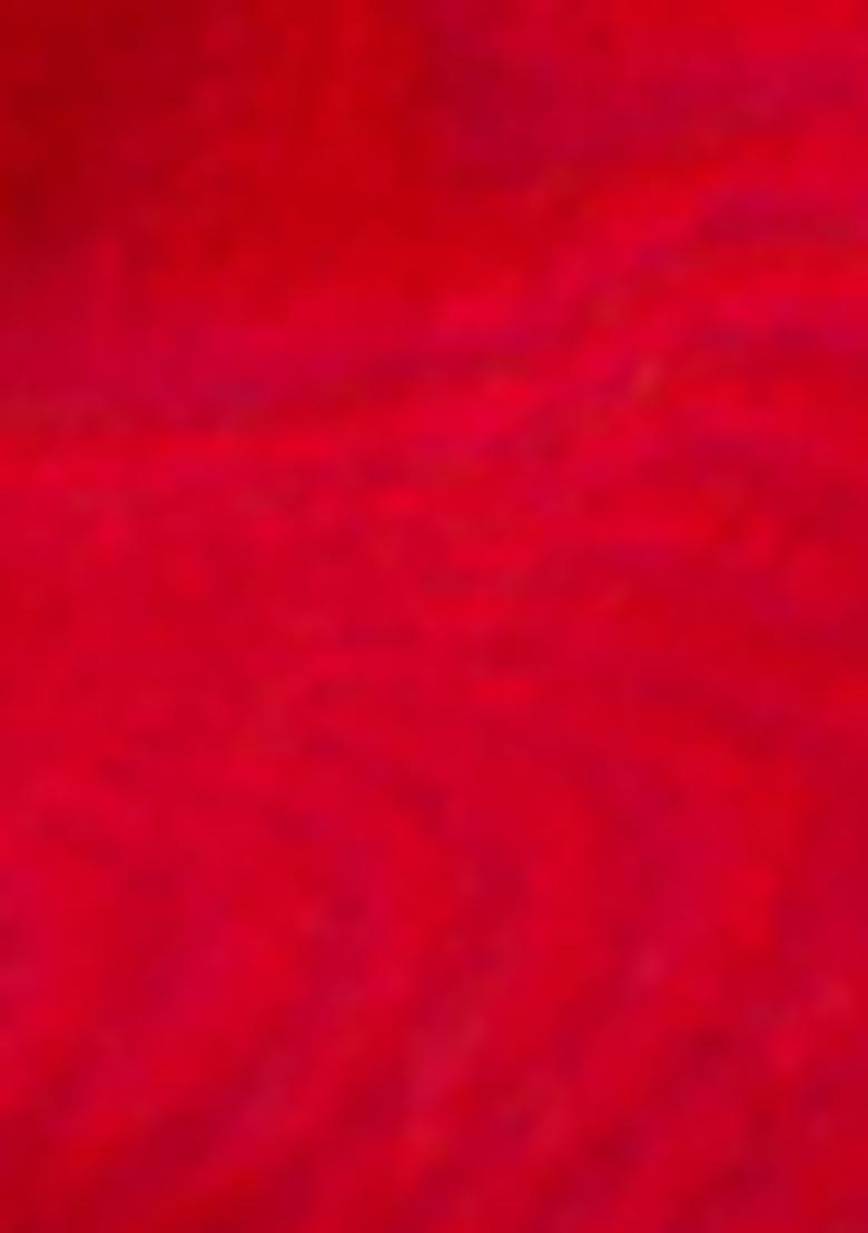 Red Zari Woven Staple Cotton Saree Set