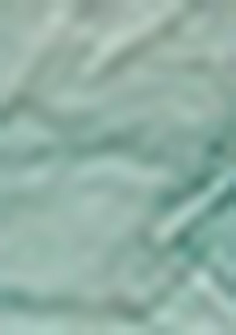 Blue Zari Woven Staple Cotton Saree Set