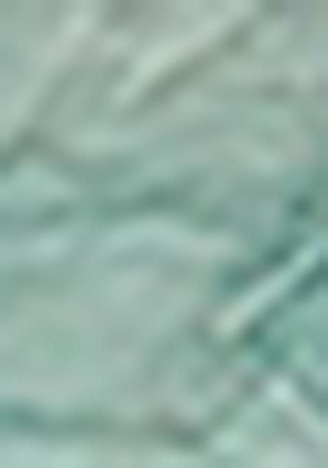 Blue Zari Woven Staple Cotton Saree Set