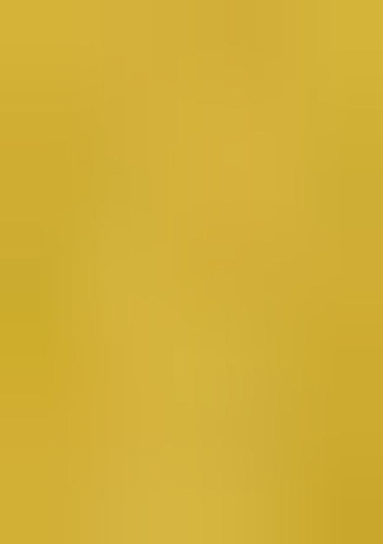 Yellow Zari Woven Cotton Organza Saree Set